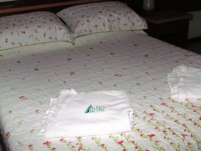 Alpes Hotel Венда-Нова-ду-Имигранти Экстерьер фото
